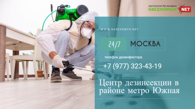 дезинсекция меетро южная