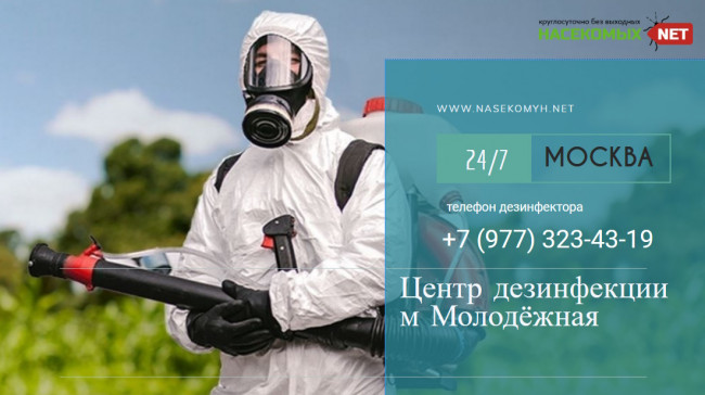 dezinfekciya-molodezhnaya