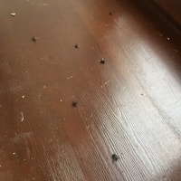 Уничтожение мух в частном доме фото