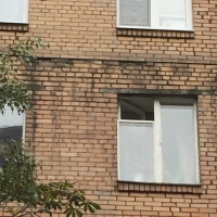 Фото плесени на фасаде дома