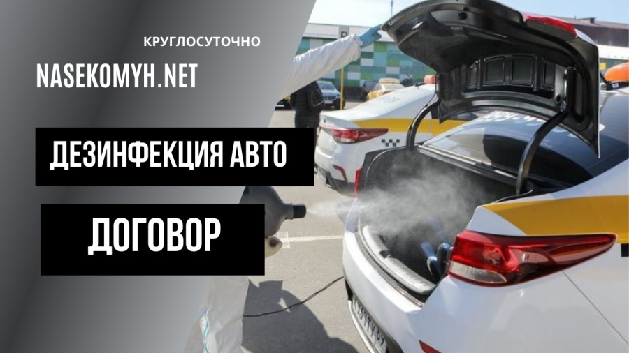 договор дезинфекция авто