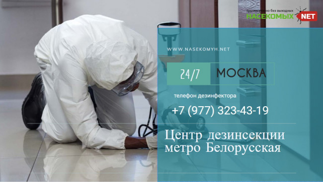 дезинсекция метро белорусская