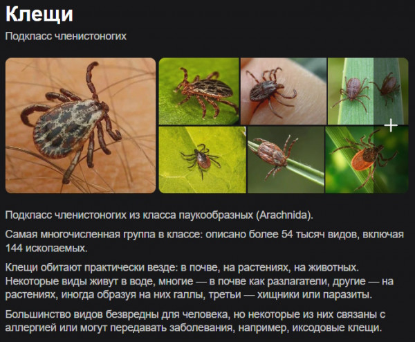 дезинфекция клещей в Москве