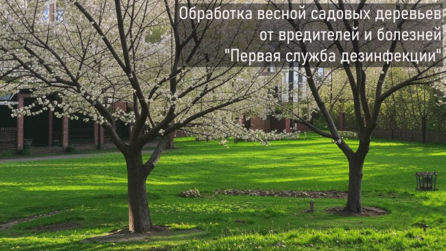 Обработка весной от вредителей и болезней