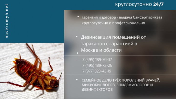 служба уничтожения тараканов
