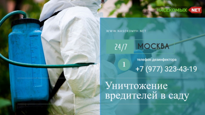 уничтожение вредителей в саду
