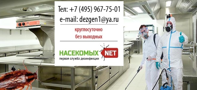 дезинфекция кафе