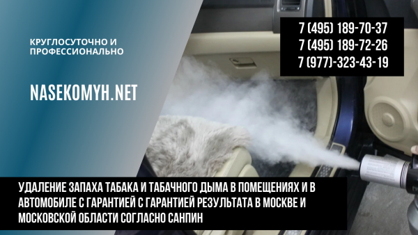 Средство от запаха табака в квартире. Чувствую запах табака которого нет. Как избавиться от запаха сигарет от рук. Как убрать запах сигарет в квартире