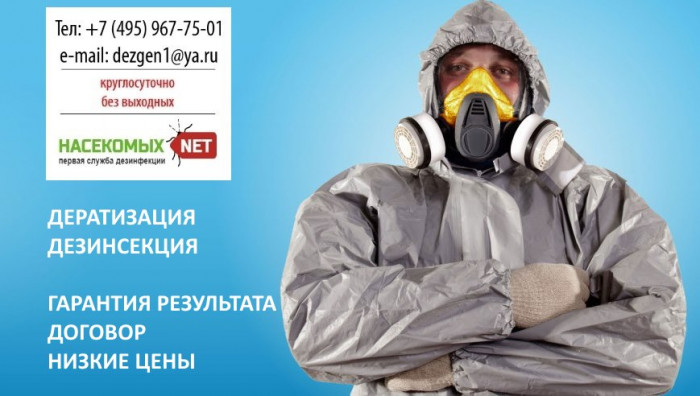 дератизация дезинсекция