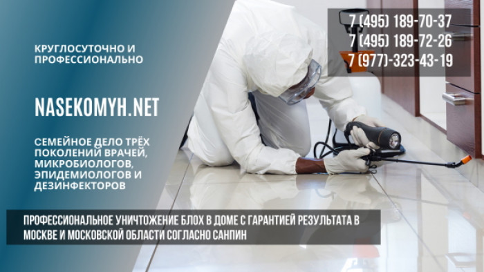 уничтожение блох дома гарантия