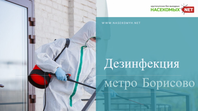 дезинфекция метро борисово