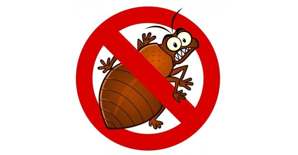 Дезинсекция подвала. Дезинсекция. NASEKOMYH.NET – профессиональное  уничтожение насекомых, грызунов, тараканов, клопов, кротов, плесени, запахов